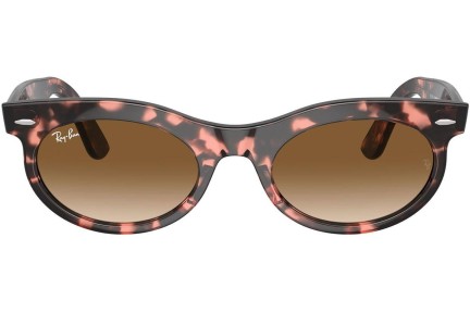 Napszemüvegek Ray-Ban RB2242 133451 Browline Havana