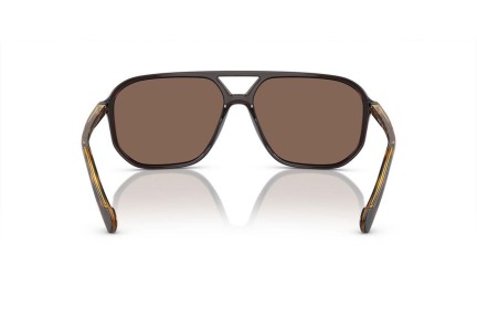 Napszemüvegek Vogue Eyewear VO5531S 311073 Pilota Barna