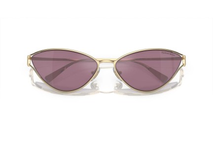 Napszemüvegek Tiffany & Co. TF3095 6194AK Cat Eye Arany