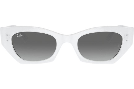 Napszemüvegek Ray-Ban RB4430 675911 Browline Fehér