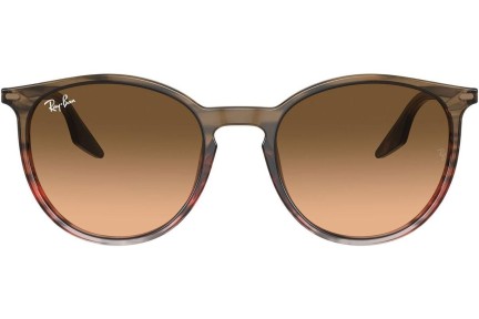 Napszemüvegek Ray-Ban RB2204 13953B Kerek Barna