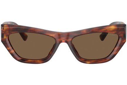 Napszemüvegek Ralph Lauren The Kiera RL8218U 500773 Cat Eye Havana