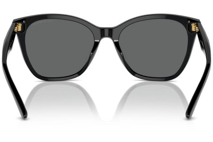 Napszemüvegek Emporio Armani EA4222U 501787 Cat Eye Fekete