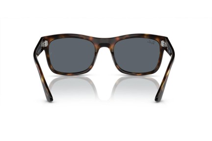 Napszemüvegek Ray-Ban RB4428 710/R5 Szogletes Havana