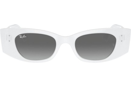 Napszemüvegek Ray-Ban RB4427 675911 Browline Fehér