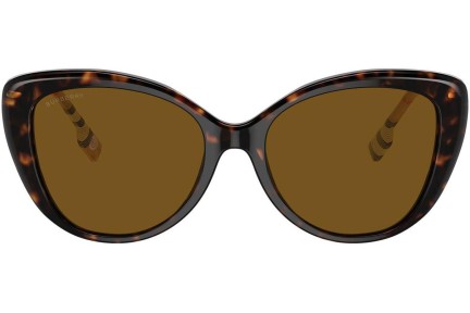 Napszemüvegek Burberry BE4407 385483 Polarized Cat Eye Havana