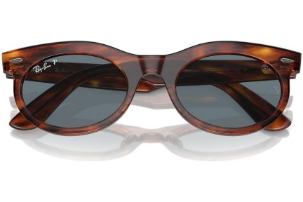 Napszemüvegek Ray-Ban RB2242 954/3R Polarized Browline Havana