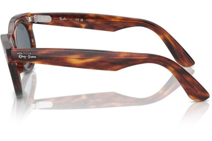 Napszemüvegek Ray-Ban RB2242 954/3R Polarized Browline Havana