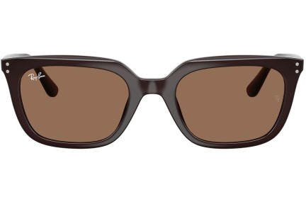 Napszemüvegek Ray-Ban RB4439D 623173 Szogletes Barna