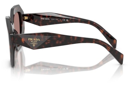 Napszemüvegek Prada PR16WS 17N60B Különleges Havana