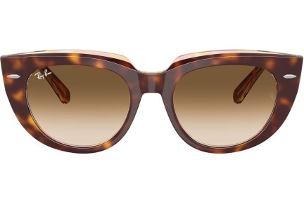 Napszemüvegek Ray-Ban RB2286 141451 Szogletes Havana