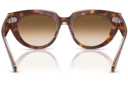 Napszemüvegek Ray-Ban RB2286 141451 Szogletes Havana