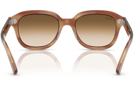 Napszemüvegek Ray-Ban Erik RB4398 140351 Szogletes Barna