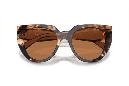 Napszemüvegek Prada PR14WS 01R2Z1 Cat Eye Havana