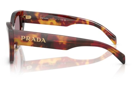 Napszemüvegek Prada PRA09S 22A20I Cat Eye Havana