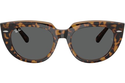 Napszemüvegek Ray-Ban RB2286 1292B1 Szogletes Havana