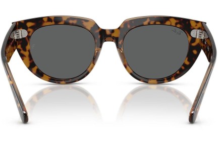 Napszemüvegek Ray-Ban RB2286 1292B1 Szogletes Havana