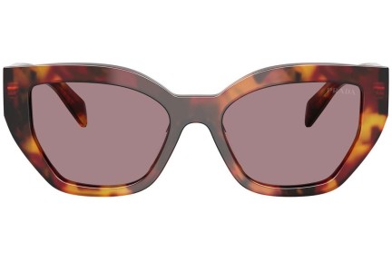 Napszemüvegek Prada PRA09S 22A20I Cat Eye Havana