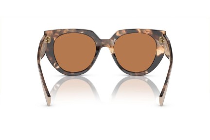 Napszemüvegek Prada PR14WS 01R2Z1 Cat Eye Havana