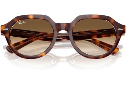 Napszemüvegek Ray-Ban Gina RB4399 141451 Szogletes Havana