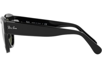 Napszemüvegek Ray-Ban Roundabout RB2192 901/31 Kerek Fekete