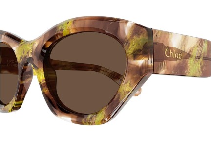 Napszemüvegek Chloe CH0220S 010 Cat Eye Havana