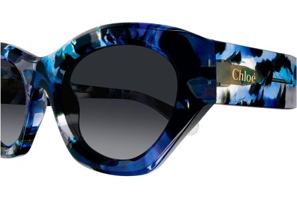 Napszemüvegek Chloe CH0220S 009 Cat Eye Kék