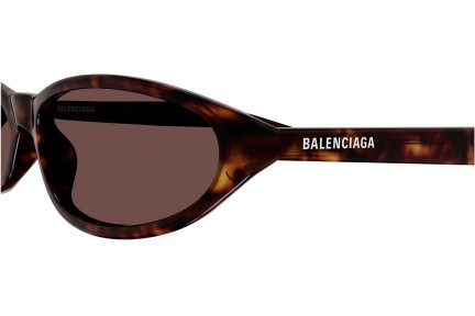 Napszemüvegek Balenciaga BB0007S 013 Ovális Havana