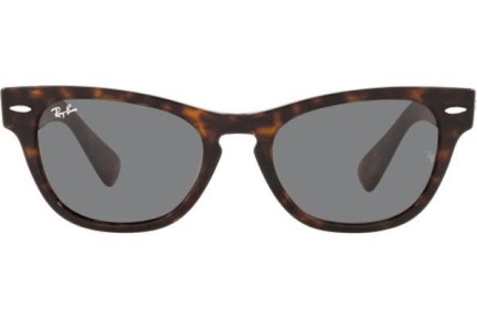 Napszemüvegek Ray-Ban Laramie RB2201 902/B1 Szogletes Havana