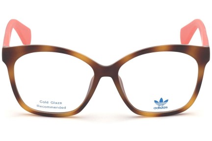 szemüvegeinket Adidas Originals OR5017 053 Cat Eye Havana