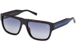 Napszemüvegek Timberland TB9337 52D Polarized Szogletes Havana