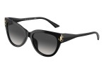 Jimmy Choo JC5018U 50008G