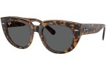 Napszemüvegek Ray-Ban RB2286 1292B1 Szogletes Havana