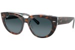 Napszemüvegek Ray-Ban RB2286 1413S3 Polarized Szogletes Havana