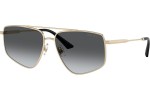 Jimmy Choo JC4011 3006T3 Polarized