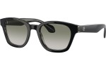 Napszemüvegek Giorgio Armani AR8207F 60873M Cat Eye Fekete