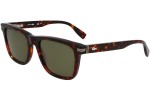 Lacoste L6045S 230