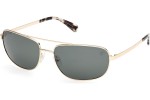 Timberland TB00045 32R Polarized