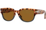 Napszemüvegek Persol PO3231S 112033 Szogletes Havana